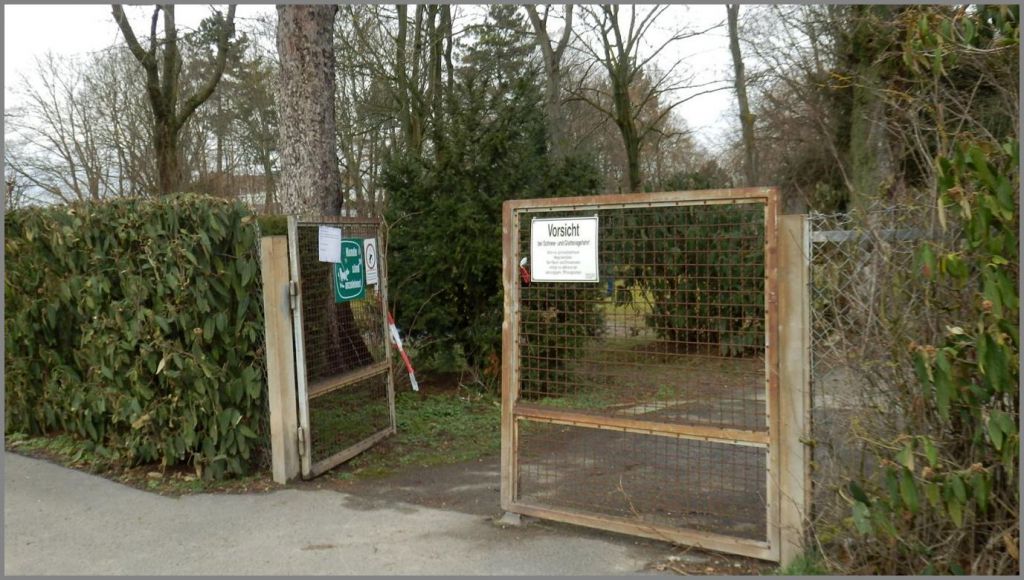 Artikel und Fotos vom jüdischen Friedhof Mainz Ostergraben Jüdische